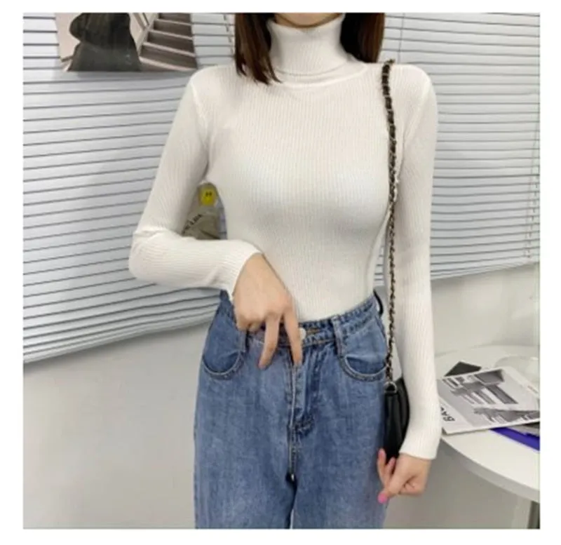 Women Turtleneck Sweaters Slim Pullover Women Basic Tops Casual Soft Knit Sweater Soft Warm Jumper