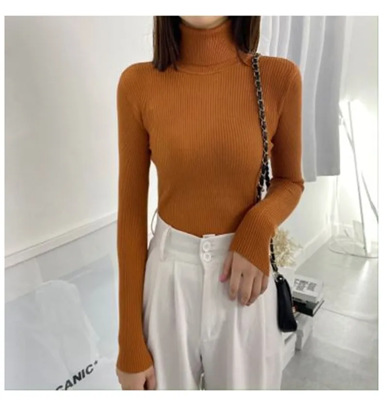 Women Turtleneck Sweaters Slim Pullover Women Basic Tops Casual Soft Knit Sweater Soft Warm Jumper