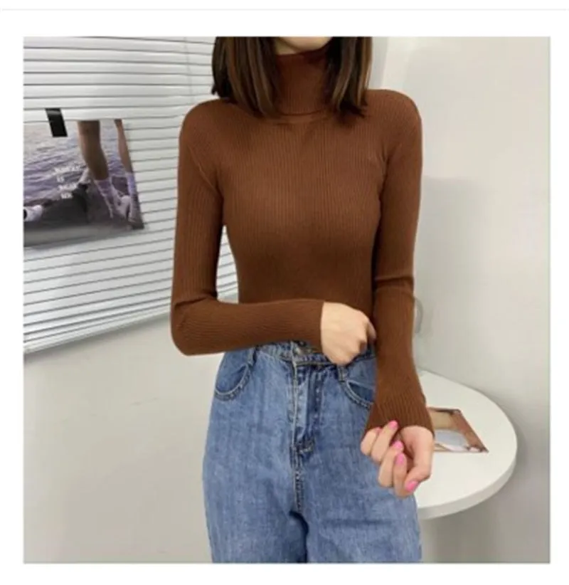 Women Turtleneck Sweaters Slim Pullover Women Basic Tops Casual Soft Knit Sweater Soft Warm Jumper