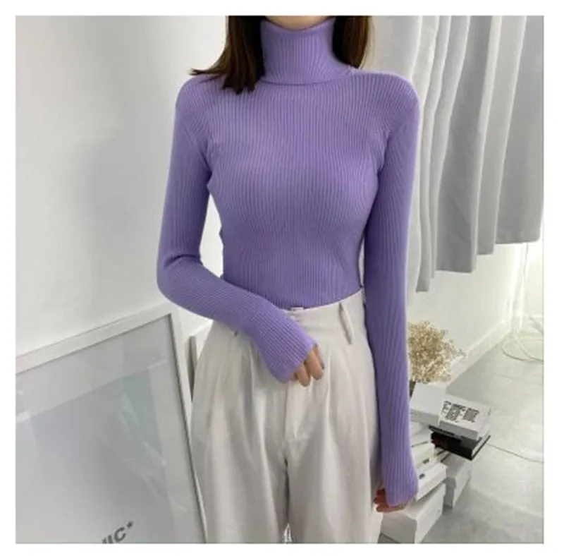 Women Turtleneck Sweaters Slim Pullover Women Basic Tops Casual Soft Knit Sweater Soft Warm Jumper